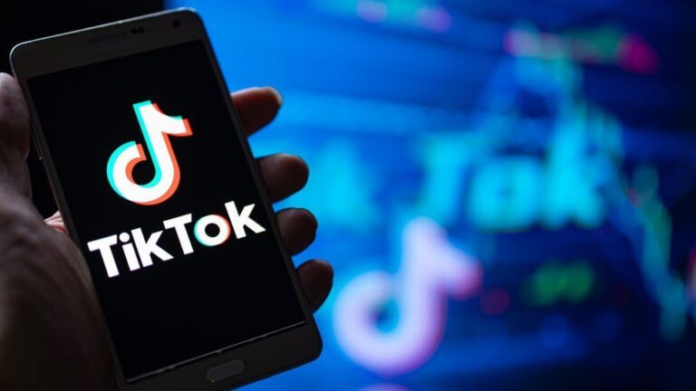 tiktok followers